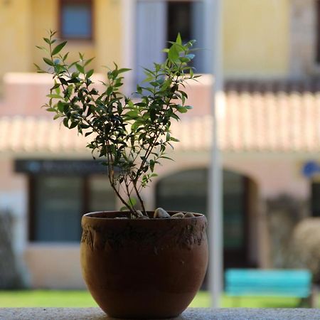 Appartamento Le Vele Porto San Paolo  Buitenkant foto